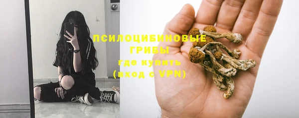прущие крисы Козловка