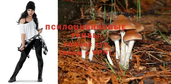 кокаин премиум Корсаков