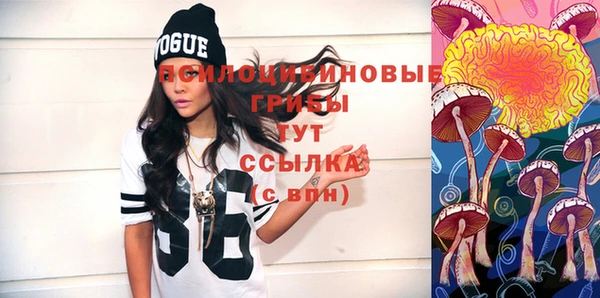 ПСИЛОЦИБИНОВЫЕ ГРИБЫ Костерёво