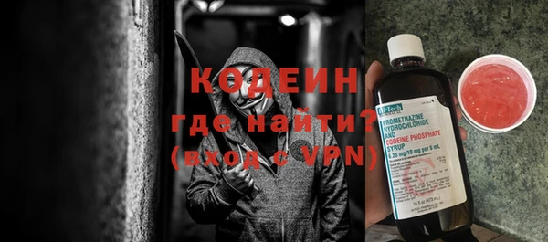 шишки Тихвин