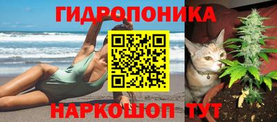 бошки Балаково