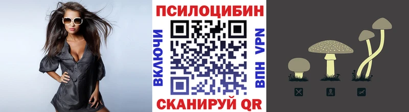 Галлюциногенные грибы Magic Shrooms купить сайты Борисоглебск