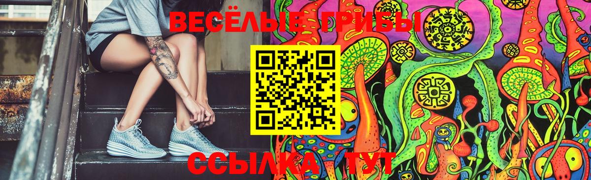 Галлюциногенные грибы Psilocybine cubensis Борисоглебск
