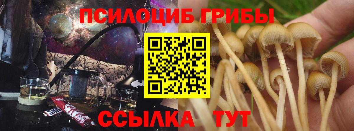 Галлюциногенные грибы MAGIC MUSHROOMS  Галлюциногенные грибы Magic Shrooms  Борисоглебск 