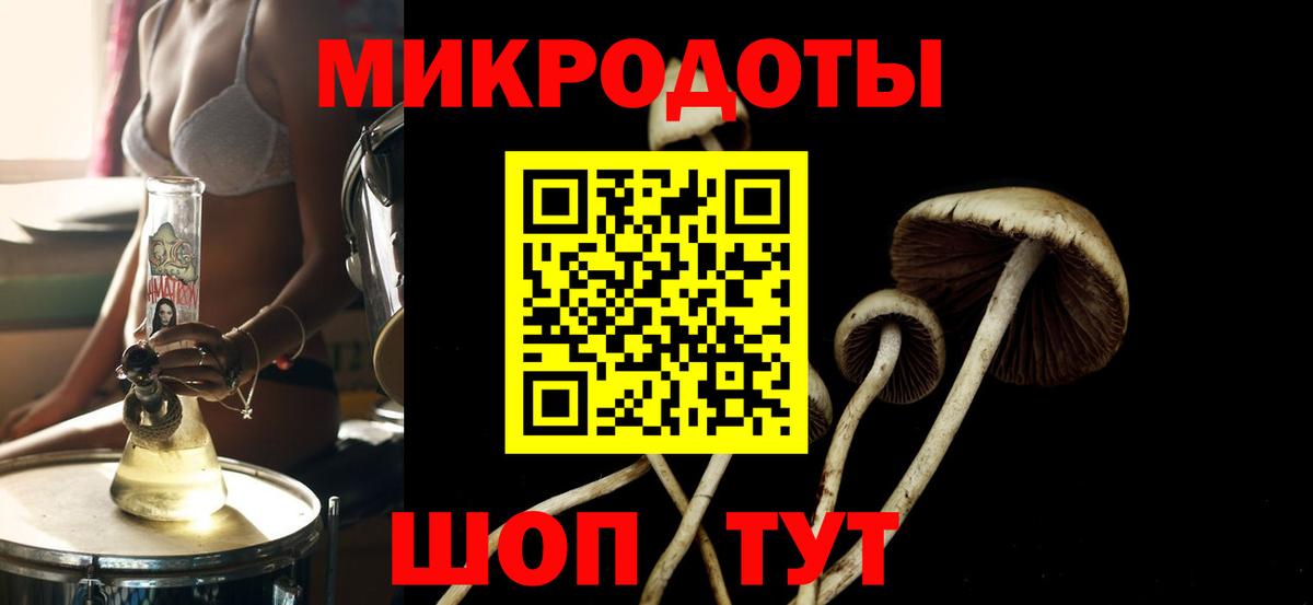 купить   Псилоцибиновые грибы Psilocybine cubensis  Вход с VPN  Борисоглебск 